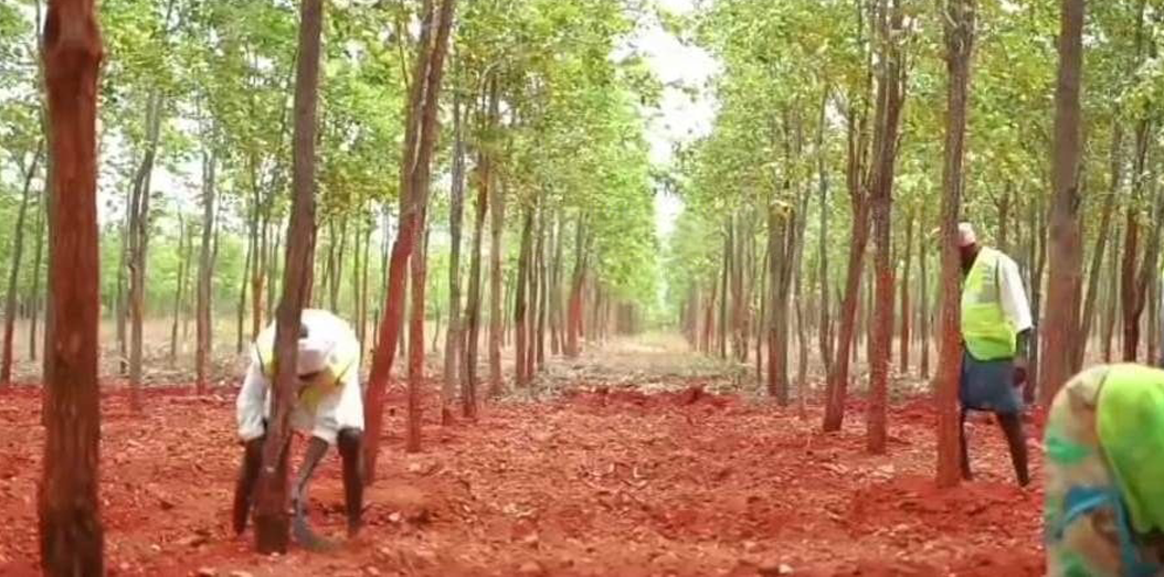 maintenance-in-farms